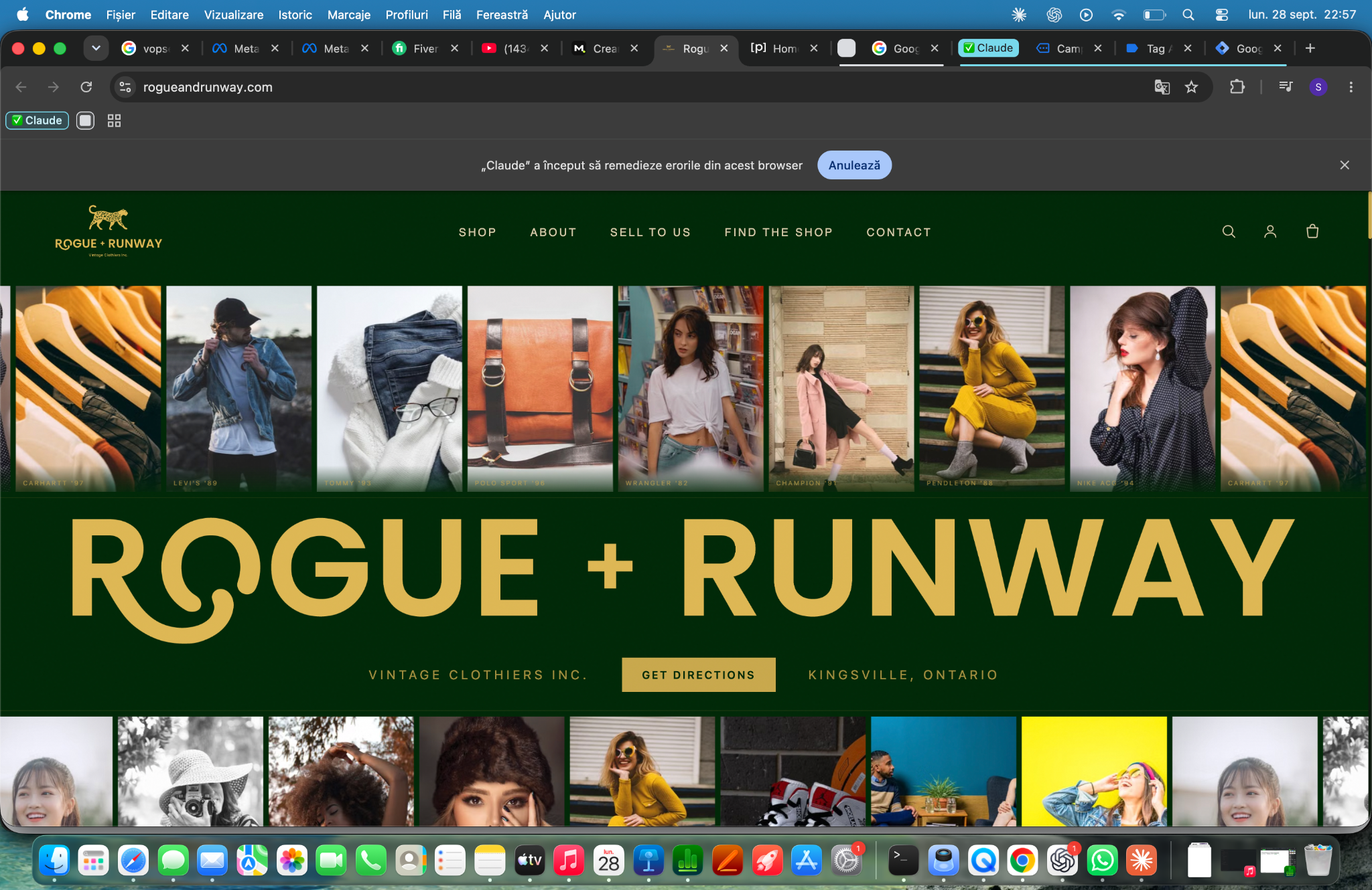Rogue Runway store: fashion gallery on a green background